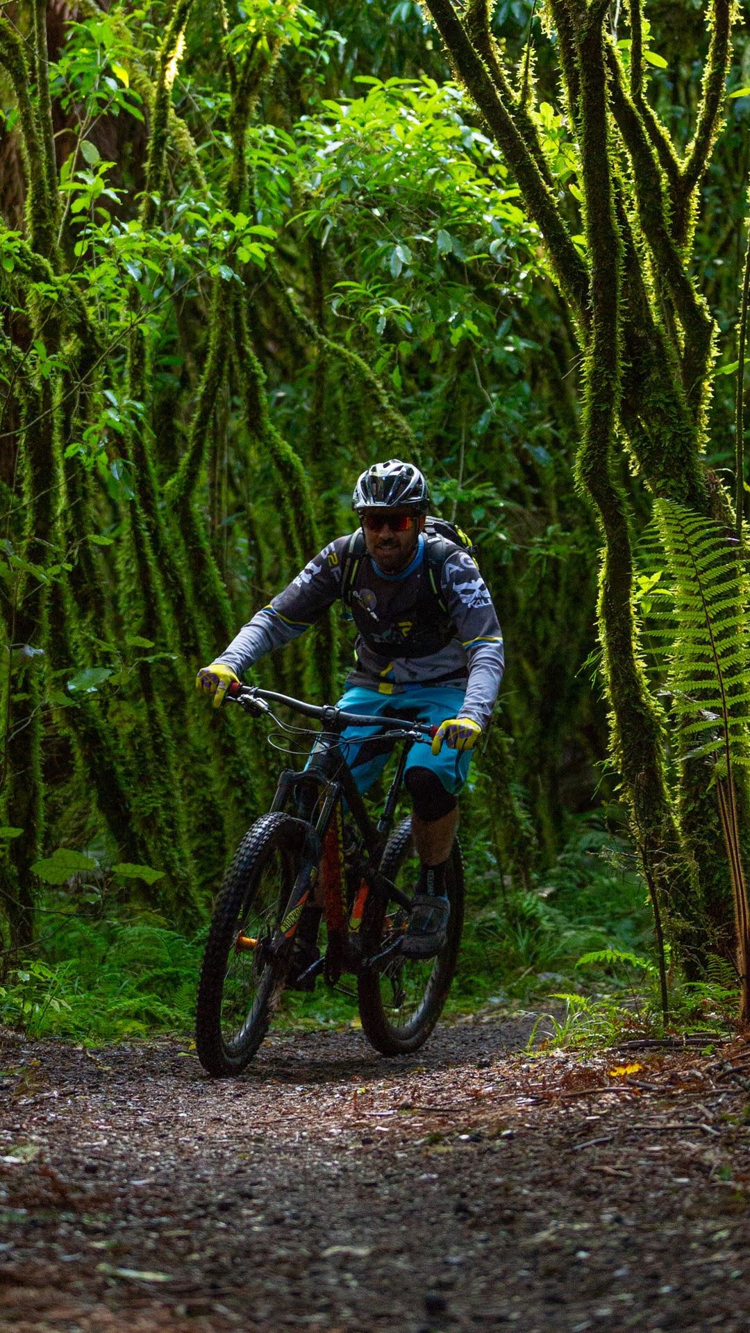 Cycling Mountain Biking Ohakune Old Coach Road